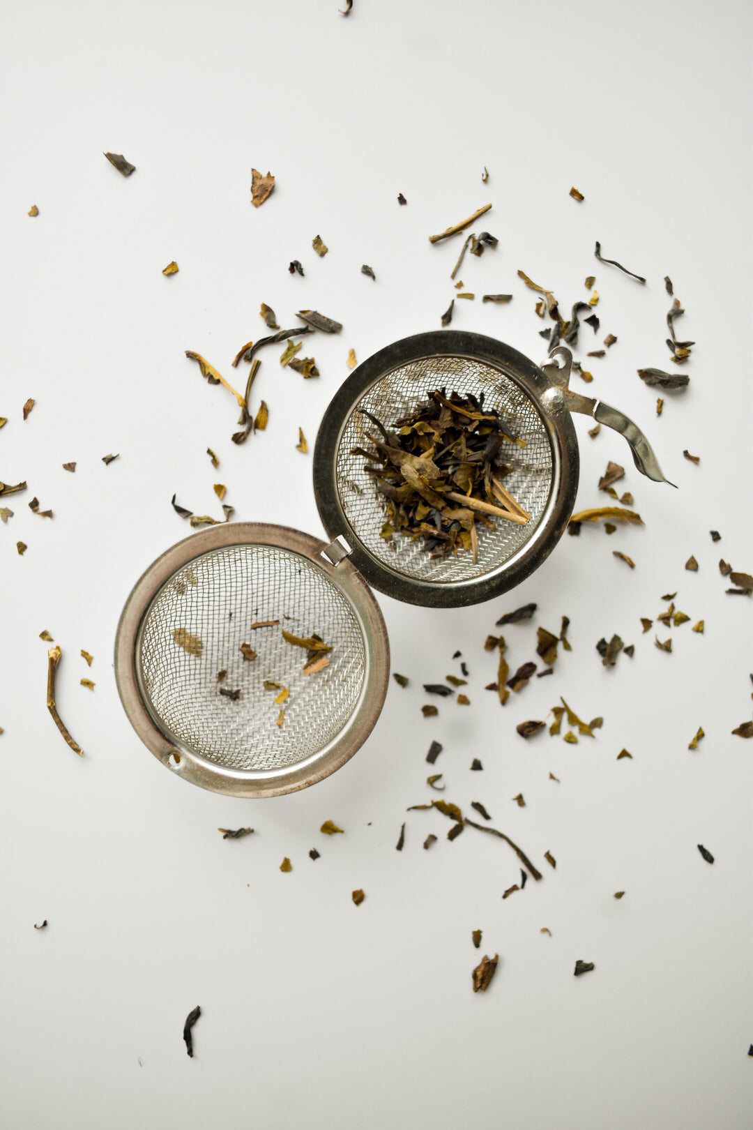 VYDA Infinitea - First Harvest Azorean Green Tea, L-Theanine