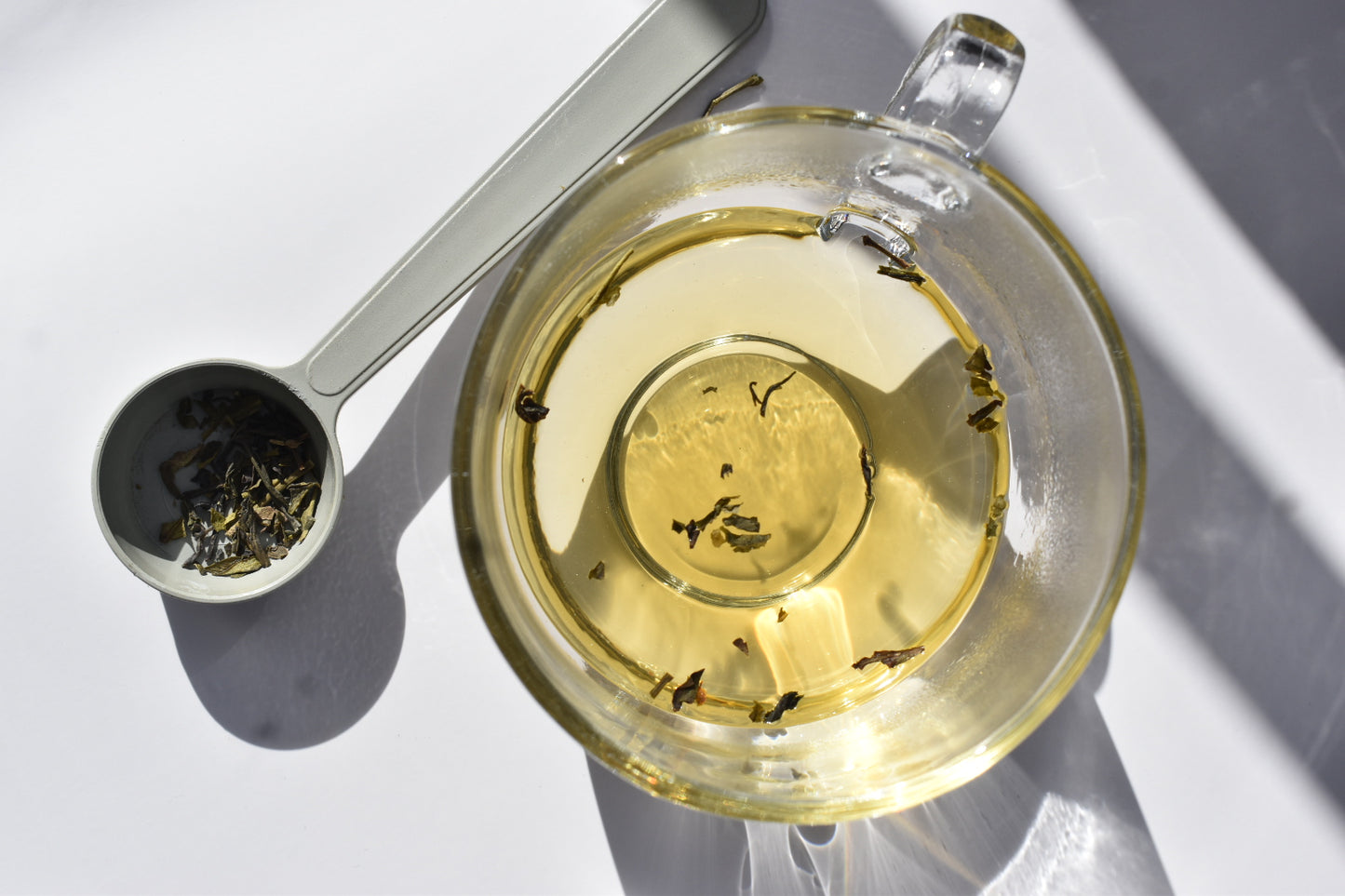 VYDA Infinitea - First Harvest Azorean Green Tea, L-Theanine