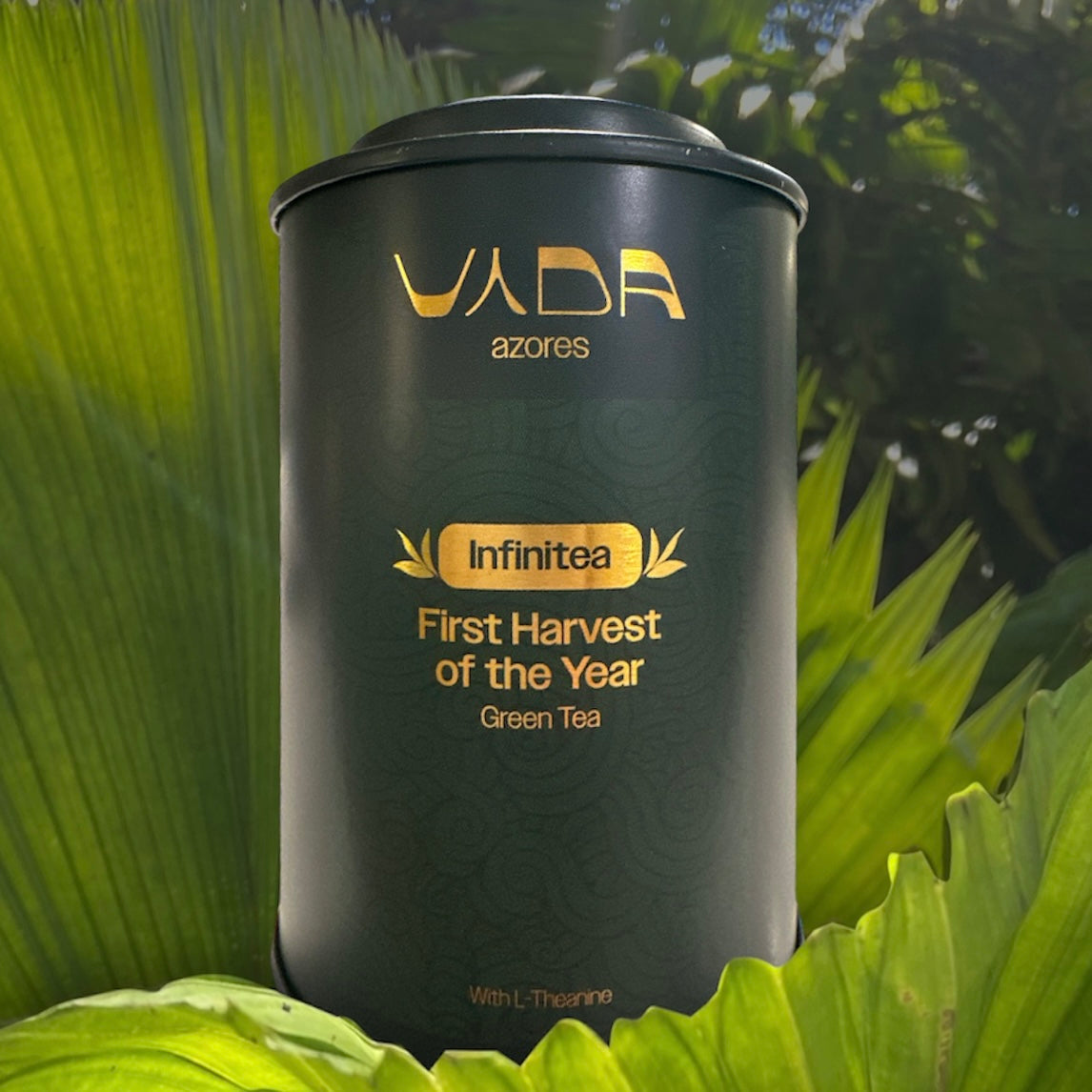 VYDA Infinitea - First Harvest Azorean Green Tea, L-Theanine